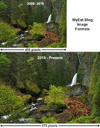 Image result for Fern Green 1994 Reliant