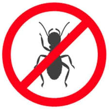 The home improvement center donates thousands of dollars annually to our local santa barbara community. Ants Pest Control Santa Barbara