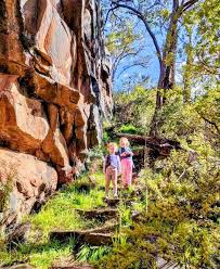 Profile for Serpentine Jarrahdale Trails Inc.