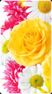Adding an attractive and beautiful flower wallpaper to your mobile and desktop background is such a free and easy way to brighten up some color to your every day and each moment. Hd Wedding Flowers Wallpapers For Love For Android Apk Download