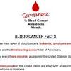World leukemia day is on 4th september. 1