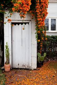 If you're looking for plants that deer won't eat, then this post is for you! 6 Deer Resistant Flowering Vines To Plant This Fall