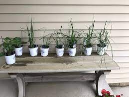 View latest posts and stories by @greatgardenplants great garden plants in instagram. New Garden Plants Reviews 43 Reviews Of Newgardenplants Com Sitejabber