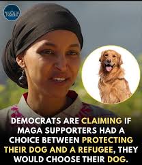 DOGS apparently matter more to Trump supporters than REFUGEES, Democrats  claim — saying supporters are too embarrassed to admit it.