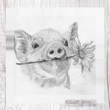 Cute Pig Piglet Pencil Drawing Sketch Print Decor Art Ejc Elizabeth James Creations Daisy Farm F Animal Drawings Sketches Animal Drawings Pencil Sketch Drawing