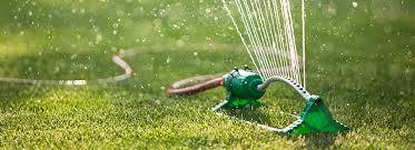 Early morning watering is also recommended as watering your lawn during hot parts of the day can add stress to your grass. Summer Lawn Watering Guide Steps To A Great Lawn Bioadvanced