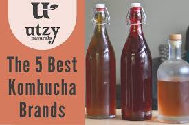 Best kombucha brands in india. Pin On In The News And On The Web