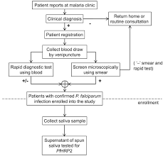 Enrollment Of Patients Flow Chart Showing The Process For