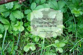 (alle bilder aus dem freisinger garten) wie der titel schon verrät, unterstützt es anfänger wie gartenprofis dabei, unerwünschte gartenpflanzen im jugendstadium schnell und sicher zu erkennen. Die Besten Tipps Gegen Lastiges Unkraut In Beet Und Rasen