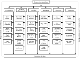 In it, players must defend an npc known as the void knight from an onslaught of monsters. Conservation Agriculture In The Semi Arid Tropics Prospects And Problems Sciencedirect