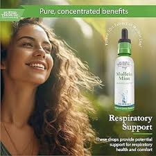 Amazon.com: Buried Treasure Mullein Mint Drops: Instant Mullein Tea,  Mullein Leaf Extract for Supporting Lungs, No Sugar, Easy-to-Use Drops for  ...