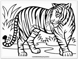 Below we have collected some beautiful coloring pictures of tigers for you. Clemson Tiger Coloring Page Only Peepsburgh