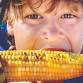 Fairborn Sweet Corn Festival
