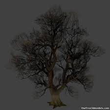 Tree Oak 3d Model Obj Model Tree 3d Model Model