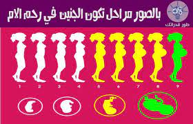 نسعى دائما الى استكشاف كل الامور التي تتعلق بنا مهما كانت بسيطة لذا يلفت انتباهنا اي شيء يمكنه تفسير فضولنا في امر ما في هذ blog posts poster movie posters