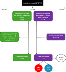 Image result for CSF PCR