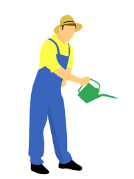 Chef, ireland, sweepers, carpenter, lawnmower, craftsman, blacksmith, topi kebun. Adult Agriculture Isolated Free Image On Pixabay