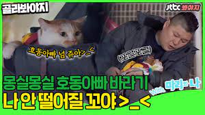 고양이 (cat)은 마을에서 흔하게 발견되는, 길들일 수 있는 수동적인 몹 이다. ê³¨ë¼ë´ì•¼ì§€ ê³ ì–'ì´íŠ¹ì§' 3íŽ¸ ê°•í˜¸ë™ í˜¸ë™ì´ë¥¼ ë§Œë‚˜ë‹¤ ã…£ë§ˆë¦¬ì™€ ë‚˜ Youtube
