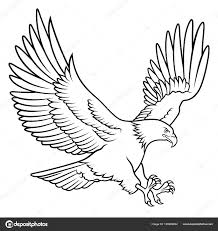 Bald Eagle Black And White Drawing Auf Bing Von De Depositphotos Com Gefunden Eagle Sketch Eagle Silhouette Eagle Drawing