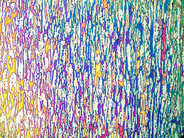 Image result for bulat steel micrograph