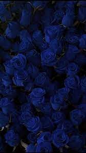 Maybe you would like to learn more about one of these? Rosesblue Blue Flower Wallpaper Flower Iphone Wallpaper Blue Roses Wallpaper