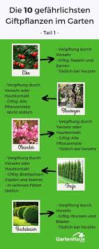 Die 10 Gefahrlichsten Giftpflanzen Im Garten Giftige Pflanzen Giftpflanzen Garten Bepflanzen