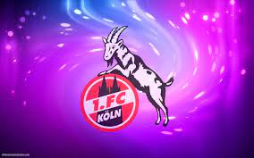 Fc köln, seinen fitnesszustand und die anstehenden partien gegen ssv jahn regensburg und borussia. 1 Fc Koln Wallpapers Hd Hintergrundbilder