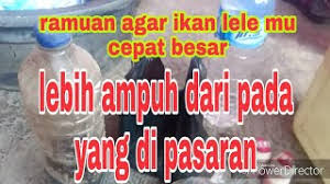 Ambil sehelai kertas tisu di ruang tamu. Cara Menghilangkan Bau Susu Rotten Pembersihan Rumah