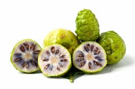 Noni juice and fruit isn't the only part of this tree that's used to make medicine and supplements; Noni Juice Healthy Miracle Of Nature Pretend Magazine