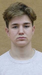 Hawks, Wildcats combine for six regional champions