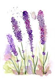 Lavender Watercolour Flowers Purple Art Watercolor Print Etsy Purple Art Flower Wall Art Watercolor Flowers