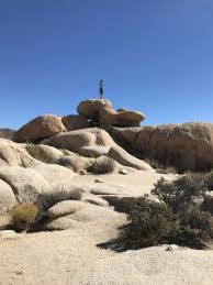 Maybe you would like to learn more about one of these? Destination Joshua Tree National Park Gosilver