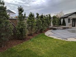 Mysearchexperts.com has been visited by 100k+ users in the past month Pools And Landscaping Something To Think About Clc Tree Services