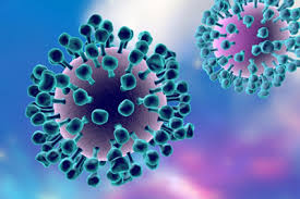 Image result for influenza