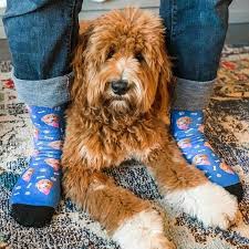 Free shipping can be selected at checkout, anywhere in the us or canada! Custom Dog Socks Put Your Dog On Socks Socksery