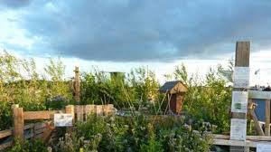 Seit der öffnung des tempelhofer feldes im jahr 2010 für alle ist berlin um einen der größten urbanen freiräume weltweit mit internationaler strahlkraft reicher. Geschichten Von Bienen Und Blumen Qiez