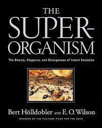 The Superorganism: The Beauty, Elegance, and Strangeness of Insect  Societies: Hölldobler, Bert, Wilson, Edward O.: 9780393067040: Amazon.com:  Books
