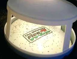 What S The Best Flea Trap And Do Flea Traps Even Work Pest Hacks