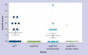 Check spelling or type a new query. Towards An Understanding Of The Role Of Clostridium Perfringens Toxins In Human And Animal Disease Future Microbiology