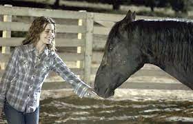 10 Peliculas Sobre Caballos Que Tienes Que Ver My Horseback View