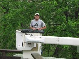 Prentice & Bush Tree Service