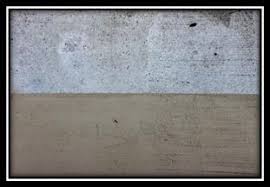 drylok latex concrete floor paint hits