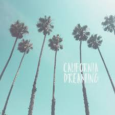 Maybe you would like to learn more about one of these? Travel Photography California Palm Trees