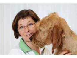 Tierärzte Bad Bodenteich