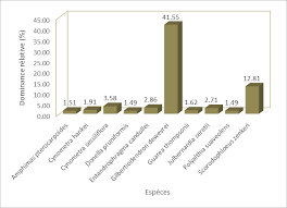 Image result for Julbernardia seretii