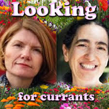 Stream episode Looking for Currants -Cathy Rentzenbrink and Maureen Goodman 