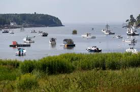 The baker act is an existing law that provides for temporary institutionalization of individuals who meet certain criteria. What We Know About Maine S First Recorded Fatal Shark Attack The Boston Globe