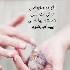 سخنان ناب و جملات زیبای بزرگان درباره ی مهربانی و انسانیت و آدم های مهربان