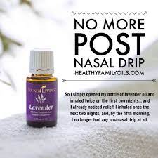 Essentialoils For Post Nasal Drip Relief Healthyfamilyoils Com Healthyfamily Essential Oils Herbs Essential Oils For Post Nasal Drip Essential Oil Treatments