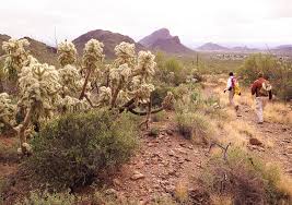 Wilderness Hikes in the American West